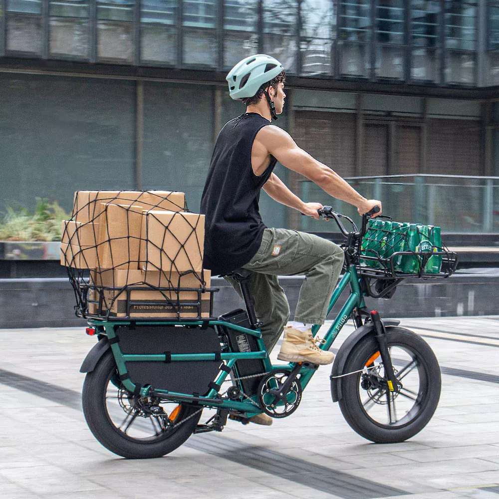 cargo ebike
