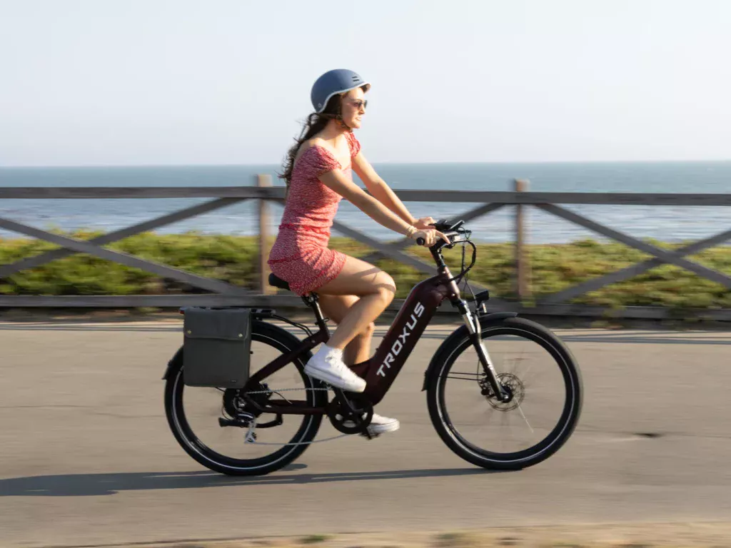 troxus ebike